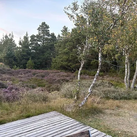 Bv411-blavand-mollehusvej-54 Holiday home *